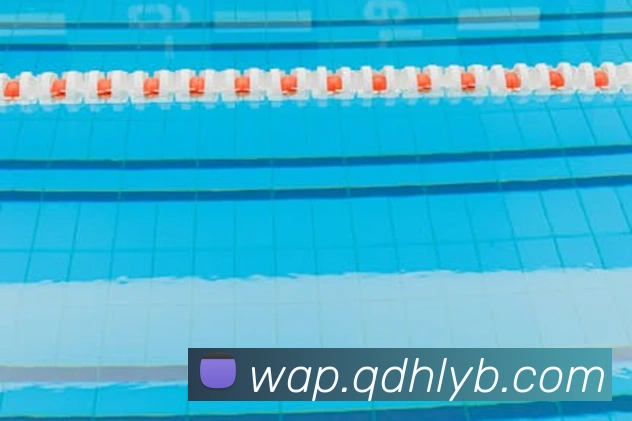 乐竞体育官网发展历程